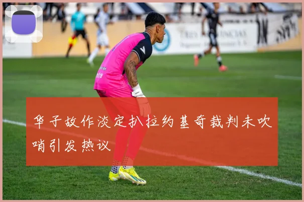 华子故作淡定扒拉约基奇裁判未吹哨引发热议
